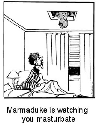 Webcomic 007 Marmaduke
