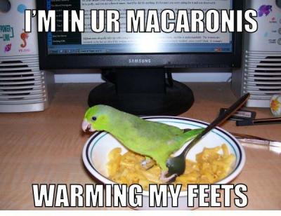 In your macaroni